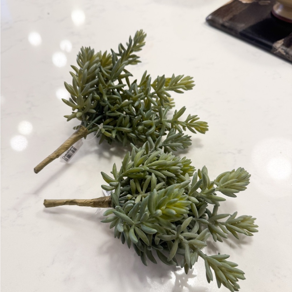 Crate Barrel Faux Greenery Sprigs (2) NWT